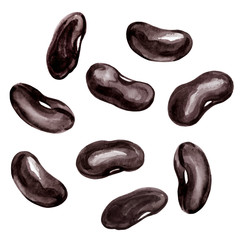 Watercolor illustration of black kidney beans. Set of vegetable seeds for cooking. - 332518219