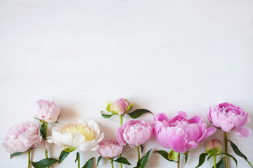Fototapeta na wymiar Floral background with peonies with space for text.