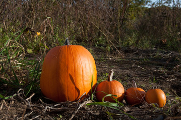 Halloween Pumpkin Home Stairway