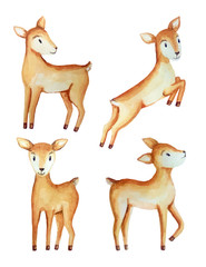 Watercolor illustration with cute deer babies.