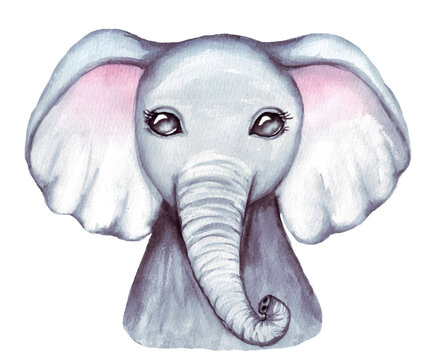 Cute lovely watercolor illustration of baby elephant face. Baby shower, nursery decor isolated on white.	