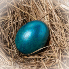 Shiny colorful easter egg in nest. Easter Eggs concept