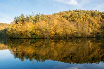 Autumn forest reflecting on the surface of the lake