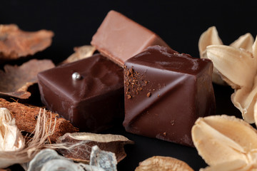 Composition of natural chocolates on a dark background.
