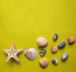 Sea shells, pebbles and starfish on yellow background. Summer flat lay. Travel and vacation concept. Top view with copy space for your text