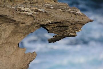 Fels vor der Brandung
