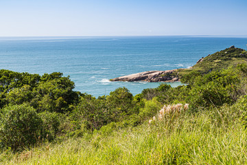 A view of Praia Mole (Mole beach) and Galheta  - popular beachs in Florianopolis, Brazil