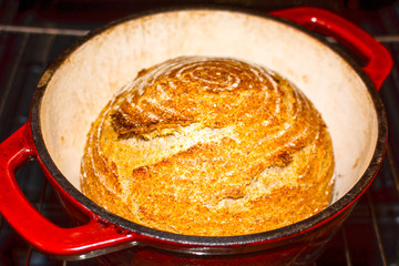 Whole wheat bread loaf baked in dutch oven iron cast pot, pure levain