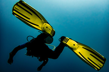 A diver with yellow fins diving
