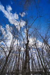 北海道の雪解け