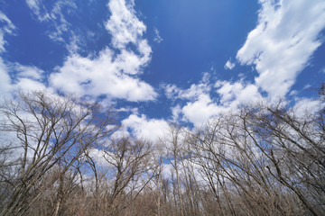 北海道の雪解け