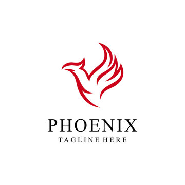 Phoenix bird sign abstract luxury logo design template.