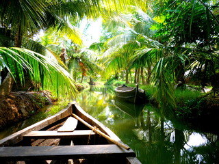Backwaters Kerala - obrazy, fototapety, plakaty