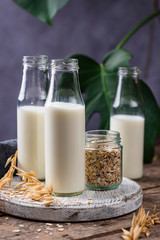 Lactose free nondairy buckwheat milk