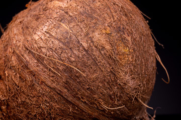 Hairy outer bask shell with texture and detail of a coconut calabash in even studio lighting contrasted against a black background