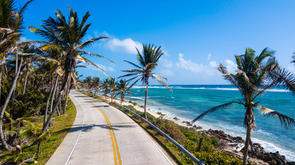 Obraz premium tropical beach with palm trees
