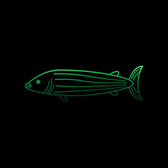 A fish nolan icon. Simple thin line, outline vector of marine live icons for ui and ux, website or mobile application