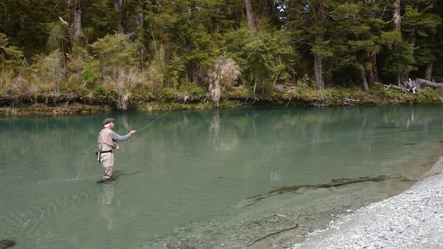 Fly fisherman wading in a clear river and casting his nymph upstream. Dense rainforest on the riverbank behind. Eglinton River, Fiordland National Park, Southland, New Zealand.