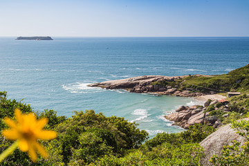 A view of Praia Mole (Mole beach) and Gravata  - popular beachs in Florianopolis, Brazil