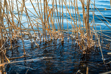 The last days of the winter 