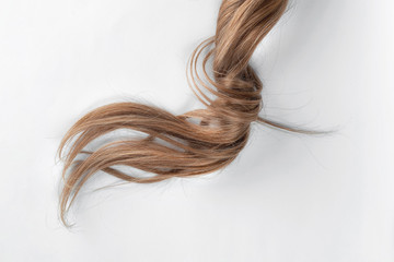 Swirled brown hair on white. Disheveled tail