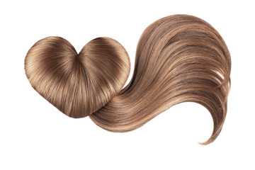 Hair heart on white, isolated. Brown doughnut bun