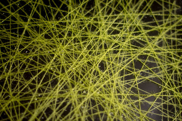 abstract green background