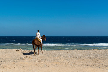 Beduin na koniu nad morzem