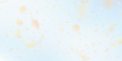 Yellow orange flower petals falling down. Terrific