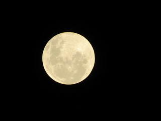 Lua Cheia / Moon