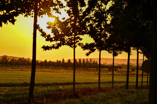 Sommerhitze im Albvorland bei Weilheim/Teck
