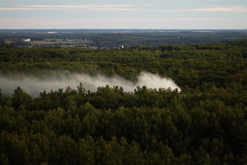 Smoke rising above the trees from a bonfire in the woods viewed from the lookout at Sager Conservation Area in Stirling, Ontario.