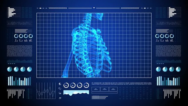 Human body skeleton study on diagnostic computer display.