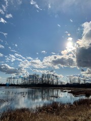 Cloud reflections in water with trees