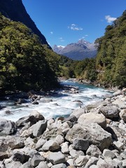 New Zealand clear water river