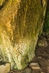 tara hill celtic stone