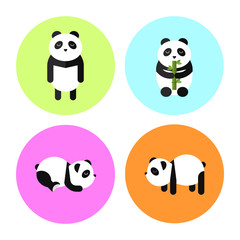 Flat Panda Design Collection