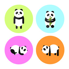 Obraz premium Flat Panda Design Collection