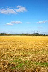 field and blue sky