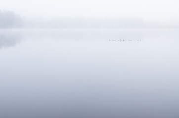 abstract background with copy space for text