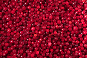 Freshly frozen red cranberries. Background of many red berries.