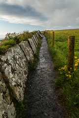 Fototapeta na wymiar Cliffs of Moher in Beautiful Ireland