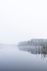 fog over lake