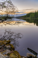 lake in forest