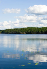 lake in forest