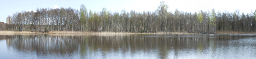 lake in forest