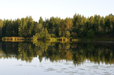 lake in forest
