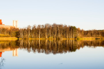 reflection of trees in lake