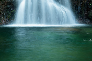 Obraz premium waterfall in the forest