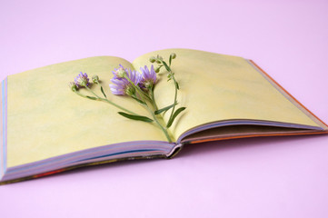 Branch of lilac flowers on an open Notepad